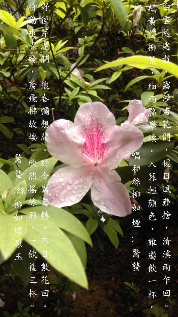 驚蟄.jpg