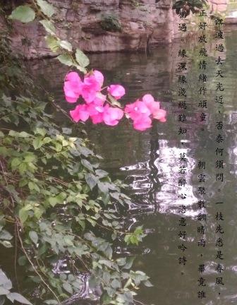 水影1.jpg