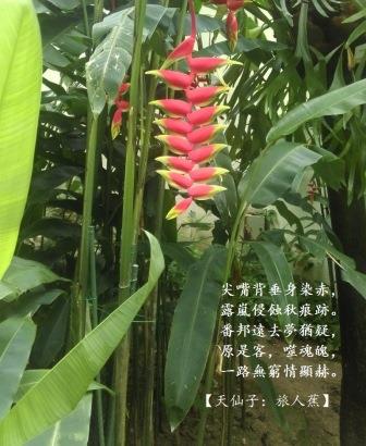 蠍子1.jpg